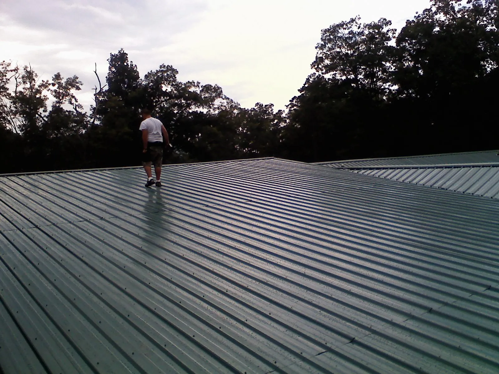 Roofer walking a wide expanse of new green metal roofing in Clallam Bay
