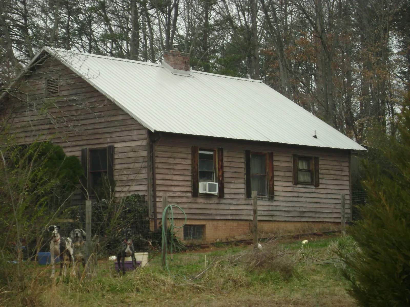 White metal roof on an old wood sided farmhouse, from a Asphalt Shingle Roof Repair job in Clallam Bay